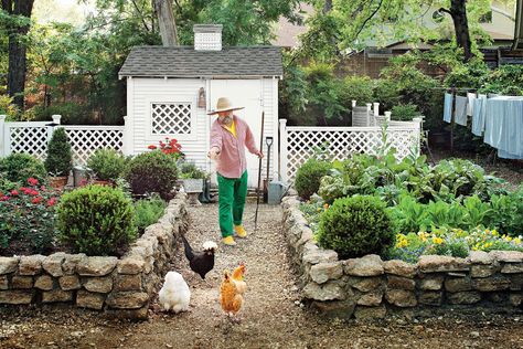 Colonial Style Garden Chicken Coop, Backyard Coop, Southern Chicken, Chicken Garden, Cozy Backyard, Chicken Coop Plans, Backyard Chicken Coops, Better Homes And Garden, Chicken Coops