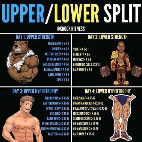 Upper And Lower Body Workout, 4 Day Workout, Pull Workout, Push Pull Workout, Full Body Workout Routine, Workout Splits, Weight Training Workouts, Body Workout Plan, Workout Plans