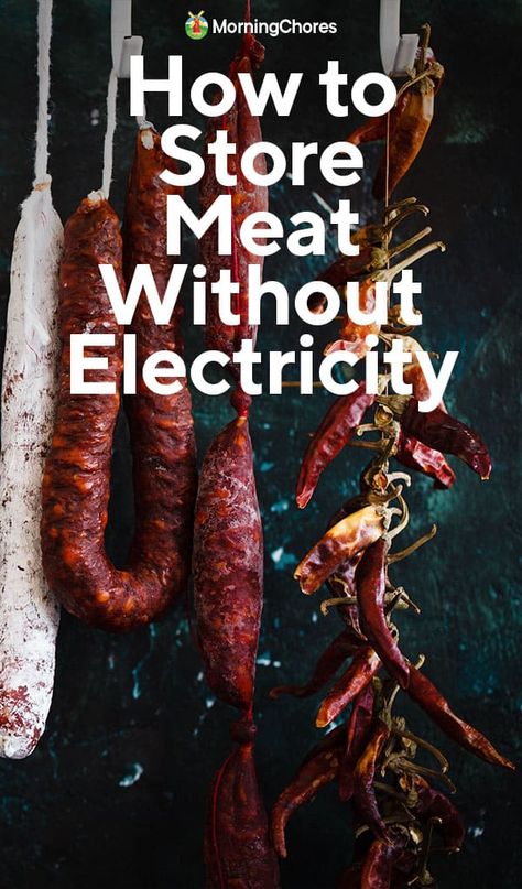 7 Ways to Store and Preserve Meat Without Electricity How To Store Meat Without Refrigeration, How To Preserve Meat Without Electricity, How To Store Meat In Fridge, Meat Preservation, Preserve Meat, Preserving Meat, Curing Meat, Cured Meat Recipes, Survival Food Storage