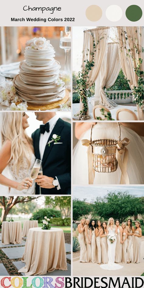 Wedding Colors Champagne Colour Schemes, Wedding Colors Tan And Green, Wedding Color Palette Champagne, Champagne Spring Wedding, Green White Beige Color Palette Wedding, Wedding Palette Champagne, Wedding Colors March, Champagne Color Palette Wedding Spring, Sage Green And Champagne Wedding