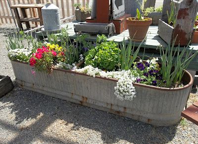 Landscape Gardening, Patio Flowers, Old Metal, Vintage Garden Decor, Garden Containers, Garden Lovers, Vintage Garden, Rustic Gardens, Container Plants