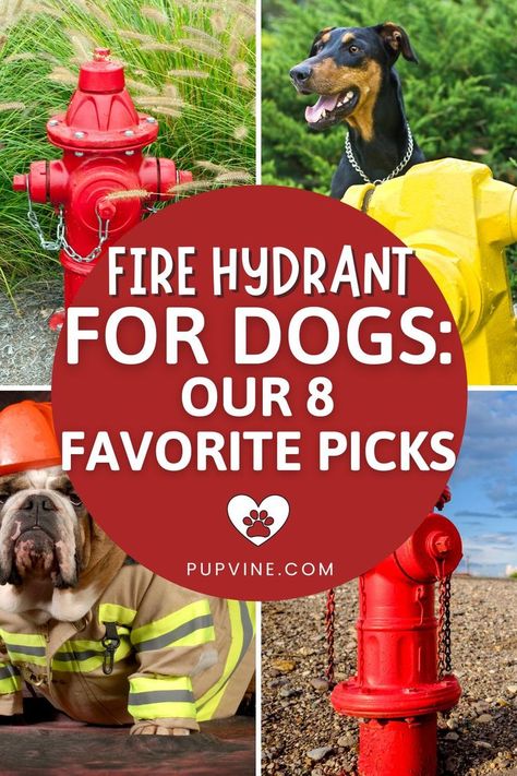 Best fire hydrant for dogs: are fire hydrants a good tool for potty training your dog? Are they good for anything else? Find out here! Diy Fire Hydrant For Dogs, Fire Hydrant Landscaping Ideas, Fire Hydrant Ideas, Diy Fire Hydrant, Dog Park Ideas, Dog Fire Hydrant, Dog Potty Area, Fake Fire, Dog Backyard