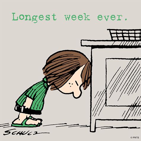 Longest week ever. Peanuts Quotes, Snoopy Funny, Peanuts Cartoon, Snoopy Quotes, Snoop Dog, Peppermint Patties, Snoopy Love, Charlie Brown Peanuts, Charlie Brown And Snoopy