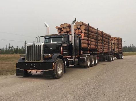 PETERBILT Vintage Volkswagen Bus, Log Truck, Logging Trucks, Truck Quotes, Lumber Mill, Logging Equipment, Forestry Equipment, Vintage Volkswagen, Peterbilt 379