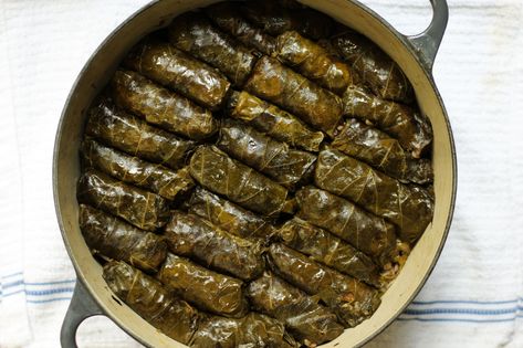 vegetarian stuffed grape leaves | prakhe't soma - Cardamom and Tea Virgin Diet, Stuffed Grape Leaves, Middle Eastern Dishes, Egyptian Food, Spicy Salsa, Vine Leaves, Lebanese Recipes, Starters Recipes, Vegetarian Cooking