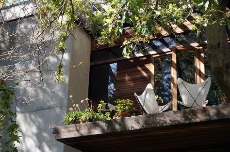 On the Grid : Kappe Residence Kappe Residence, Ray Kappe, Cal Poly Pomona, Sci Arc, California Architecture, Cal Poly, Areas Verdes, Timber Beams, Bamboo Tree