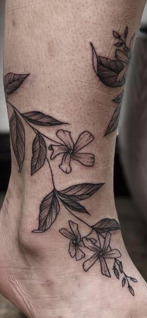 Star Jasmine Drawing, Jasmine Plant Tattoo, Jasmine Flowers Tattoo, Night Blooming Jasmine Tattoo, Star Jasmine Tattoo, Jasmine Vine Tattoo, Star Jasmine Trellis, Ginger Tattoo, Jasmine Flower Tattoo