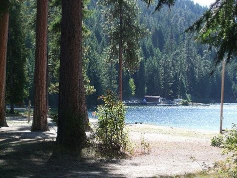 Idaho Camping, Priest Lake Idaho, Pine Trees, Nature Aesthetic, Summer 24, Pretty Places, Gravity Falls, Pacific Northwest, Idaho