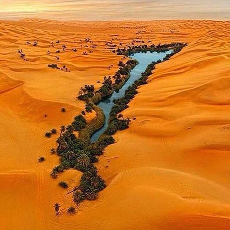 Oasis Situated west of dead Sea, Israel Desert Oasis, Alam Yang Indah, Libya, Sand Dunes, Luxor, The Desert, Aerial View, Oahu, Amazing Nature