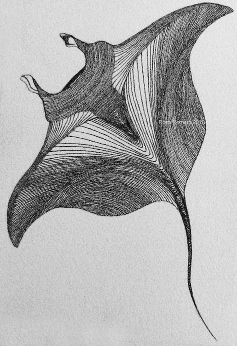 Manta Ray Drawing, Ray Drawing, Stingray Tattoo, Ray Tattoo, Ocean Drawing, Ocean Tattoos, Manta Ray, Arte Sketchbook, Pen Art