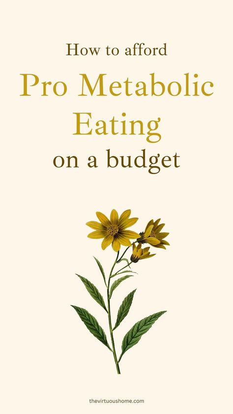 Pro Metabolic Eating on a Budget! Pro Metabolic Foods Pro Metabolic Eating, Metabolic Foods, Metabolic Eating, Pro Metabolic, Sunburn Peeling, Eating On A Budget, Liver Supplements, Metabolism Foods, Natural Face Care