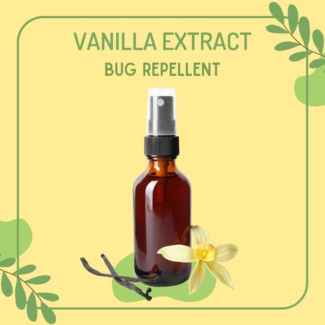 No See Ums Repellent Diy, All Natural Bug Repellent, Vanilla Bug Spray Recipe, Natural Bug Repellent For Home, Vanilla Extract Bug Spray Recipe, Vanilla Bug Repellent, Natural Bug Repellent For Skin, Vanilla Mosquito Repellant, Home Made Bug Repellent Spray