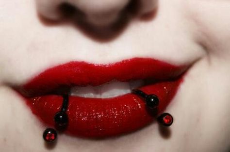 Red snake bites Piercing Bridge, Smile Piercing, Least Painful Piercings, Madonna Piercing, Labret Vertical, Snake Bite Piercing, Lip Jewelry, Eyebrow Jewelry, Lip Piercings