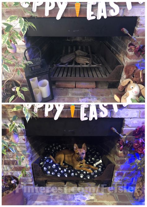 Unused fireplace #upcycle project completion now used as a kinda doghouse/ dog bed for Izzy, Tait and likely Harbor too 😆  #smallspaces #smallspaceliving #repurposed #multiuse #dog #doglover #dogbed #doghouse #fireplace Fireplace With Dog Kennel, Dog Fireplace, Dog Bed In Fireplace, Dog Bed Fireplace, Coffee Table Dog House, Cat Bed In Fireplace, Fireplace Dog Bed, Fireplace Cat Bed, Dog Nook