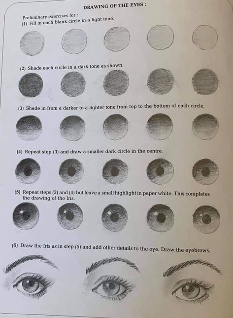 Eyeball Drawing4 Step-by-step drawing guide showing how to create realistic eyes with shading techniques and eyebrow details. | Sky Rye Design How To Draw Pupils Eye Tutorial, Eyeball Drawing, Face Art Drawing, How To Draw Eyes, Art Teacher Resources, Realistic Eyes, Shadow Drawing, Pencil Drawing Tutorials, Eye Drawing Tutorials