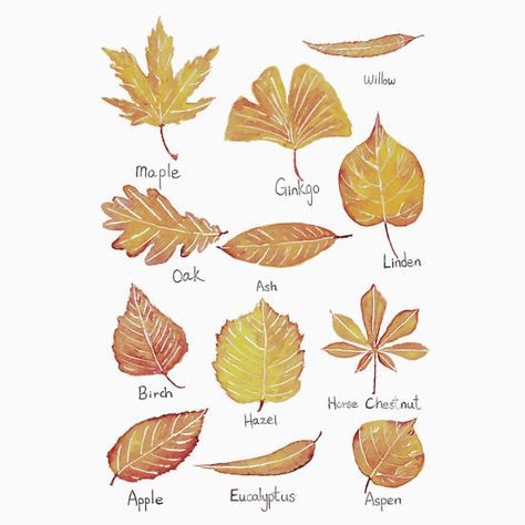 Books Watercolor, Fall Books, Watercolor Autumn Leaves, Yellow Autumn, Yellow Leaf, Fallen Book, Vintage Botanical Prints, Watercolor Wall, Watercolor Walls