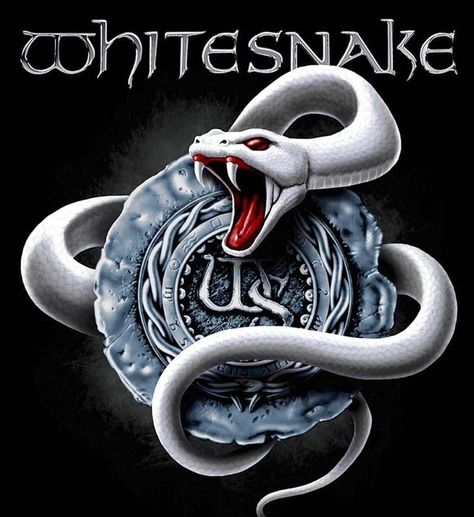 Rockstar Design, Whitesnake Band, Rock Wallpaper, Metal Band Logos, David Coverdale, Rock Album Covers, Dont Break My Heart, Rock N Roll Art, Rock Band Posters