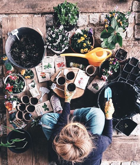 Aesthetic Greenhouse, Greenhouse Backyard, Plant Architecture, Plants And Gardening, Starting A Garden, Spring Mood, Pollinator Garden, Spring Vibes, Gardening Tools