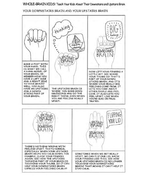 Model Of The Brain, Dan Siegel, Whole Brain Child, Health Care Tips, Green Zone, Counseling Kids, Health Care Products, Whole Brain Teaching, School Social Work