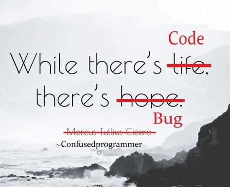 Programmer Quote - devRant Developer Quotes Software, Software Developer Funny Quotes, Coding Humor Programming Funny, Software Developer Quotes, Programming Quotes Funny, Funny Coding Quotes, Coding Quotes Programming Funny, Programing Quotes Code, Programmers Quotes