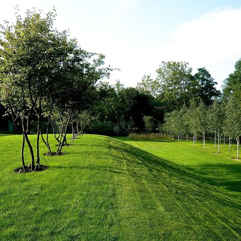 Orchard House - Jo Alderson Phillips Kentucky Landscape Ideas, Bog Garden, Sloped Yard, Landform, Hillside Landscaping, Country Gardens, Farmhouse Landscaping, Sloped Garden, Lawn And Landscape