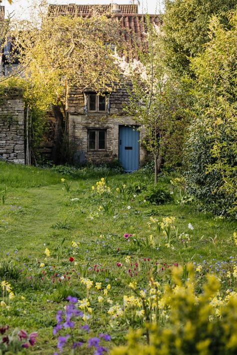 Shallow Pot Plants, English Cottagecore, Balcony Greenhouse, Landscaping Patio, Mid Century Cottage, Flowers House, Deck Balcony, Cotswolds Cottage, Plants Vegetables