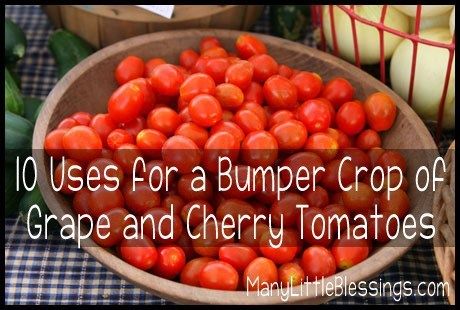 10 uses for a bumper crop of grape and cherry tomatoes Canning Grape Tomatoes, Freezing Cherry Tomatoes, Grape Tomato Recipes, Canning Cherry Tomatoes, Canning Tomatoes Recipes, Tomatoes In Containers, Tomato Salsa Recipe, Tomatoes Recipes, Freezing Vegetables