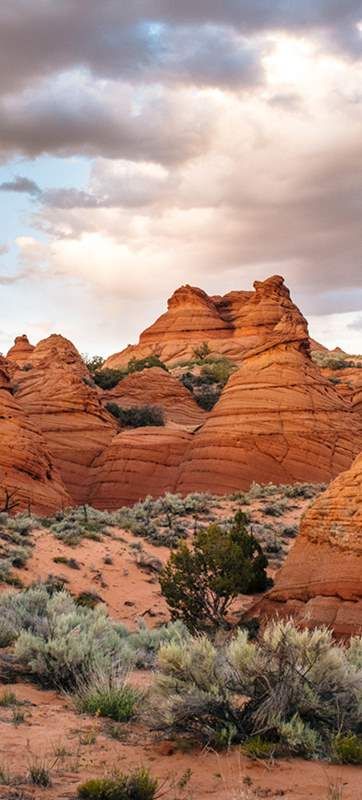 The Wave, Coyote Buttes [Maps, Permits & More] Utah Ski Resorts, Coyote Buttes, Paria Canyon, Utah Skiing, Gorgeous Scenery, Dark Skies, The Wave, Antelope Canyon, International Travel