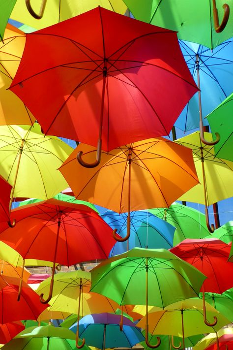 Umbrella Display, Umbrella Aesthetic, Black And Purple Wallpaper, Umbrella Photo, Math Book, Colorful Umbrellas, Fashion Umbrella, Umbrella Art, Spongebob Wallpaper