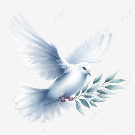 peace dove white dove olive branch illustration peace dove white dove olive branch png Dove With Olive Branch Tattoo, Dove Watercolor Tattoo, Dove Illustrations, White Dove Tattoos, Olive Tattoo, Dove With Olive Branch, Dove Drawing, Spirit Drawing, Olive Branch Tattoo