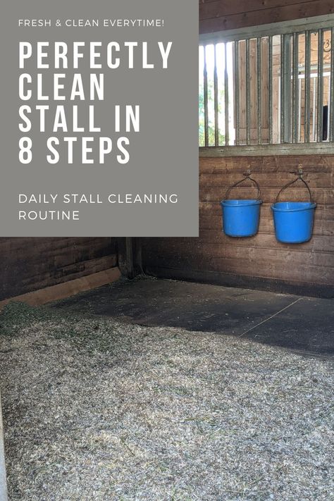 Horse Stall Bedding, Horse Stall Ideas Decor, Horse Boarding Ideas, Horse Boarding Business, Horse Boarding Facility Ideas, Horse Barns Ideas, Barn Stall Ideas, Easy Horse Stalls, Horse Stable Ideas