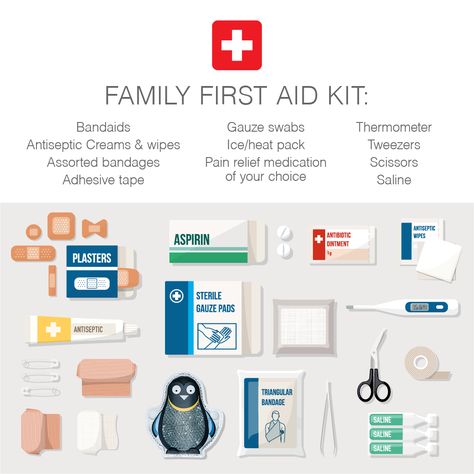 Simple First Aid Kit, First Aid Kit For Kids, First Aid Kit Checklist, Bag Contents, Mini First Aid Kit, Energy Consciousness, Kids Create, Medical Devices, Aid Kit