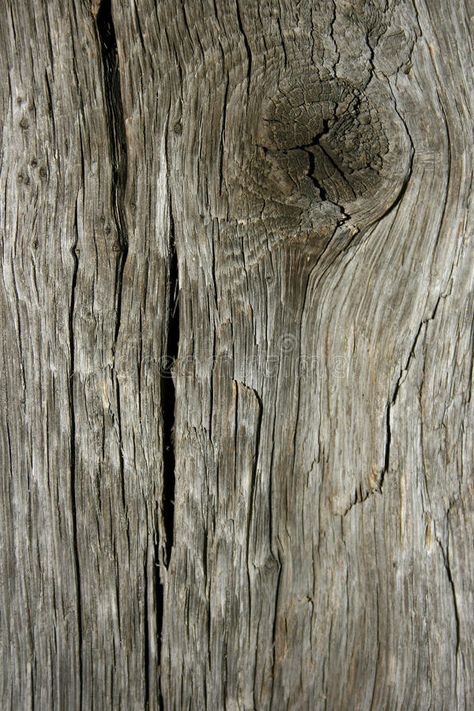 Old wood texture. Wood texture of an old tree suitable to use as a background #Sponsored , #AD, #SPONSORED, #texture, #background, #suitable, #wood Old Wood Texture, Rough Hewn Wood, Old Tree, Flyer And Poster Design, Raw Wood, Wood Texture, Wooden Boats, Old Wood, Environment Design