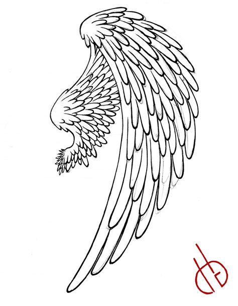 Angel Wings Folded, Drawing Wings, Angel Wing Tattoo, Folded Wings, Wings Sketch, Angel Wings Drawing, Eagle Drawing, Binder Paper, Wing Tattoo Designs