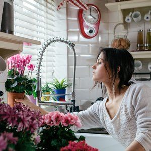 Personal Assistant Duties, Ilex Berries, Spring Hill Nursery, Mumford And Sons, Arbour Day, Personal Assistant, After The Storm, Flower Quotes, Fall Plants