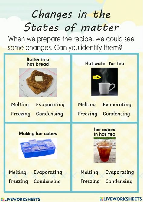 Changes In States Of Matter Activities, Changes Of State Of Matter, States Of Matter Worksheet 2nd Grade, Changes In States Of Matter, States Of Matter Activities, Changes In Matter, Esl Materials, State Of Matter, Matter Activities