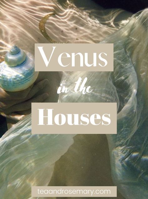 Venus in the houses for beginner astrology Libra Characteristics, Venus In Capricorn, Venus In Virgo, Venus In Libra, Venus In Pisces, Venus In Leo, All About Pisces, Feeling Wanted, Pisces Man