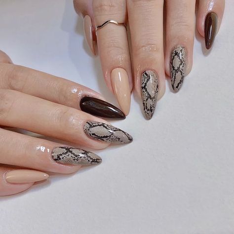 Snakeskin Nails, Acrylic Nail Designs Coffin, Western Nails, Pretty Toe Nails, Manicure Nail Designs, Snake Pattern, Nail Patterns, Cute Nail Art, Coffin Nails Designs