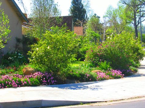 A sweeping corner lot is nice. A sweeping corner lot that sides to a major boulevard and bus stop can be a major nuisance if you dont have a fence to keep the uninvited bus riders out! I was c... Corner Lot Curb Appeal, Front Yard Corner Lot Landscaping Ideas, Corner Lot Privacy Landscaping, Street Corner Landscaping Ideas, Corner Lot Fence Ideas, Corner Lot Landscaping For Privacy, Perimeter Garden, Backyard Planting, Corner Landscaping