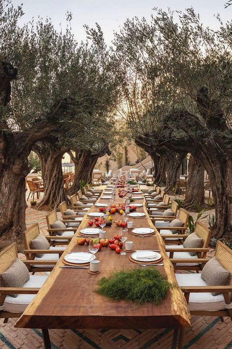 Six Senses, Ibiza Wedding, Olive Trees, Table Set Up, Al Fresco Dining, Luxury Resort, Table Set, Best Hotels, Luxury Hotel