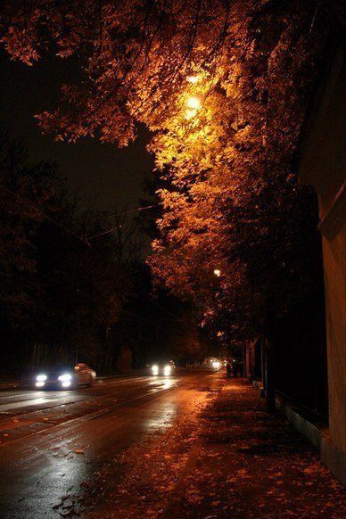 Spooky Spooky, Fall Landscape Photography, Fall Nights, Autumn Rain, Dark Autumn, Red Fall, Night Scenery, Autumn Night, All I Ever Wanted