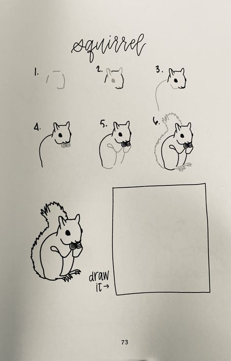 Animal Drawings Sketches Step By Step, Squirrel Drawing Easy, Squirrel Doodle, Squirrel Drawing, Squirrel Illustration, Easy Animal Drawings, Animal Drawings Sketches, Animal Doodles, Drawing Letters