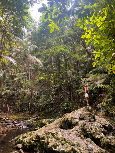 Hiking Rainforest, Philippines Trip, 2023 Vibes, Jungle Hike, Hiking Girl, Hiking Pics, Granola Girl Aesthetic, Board Pictures, Tropical Countries