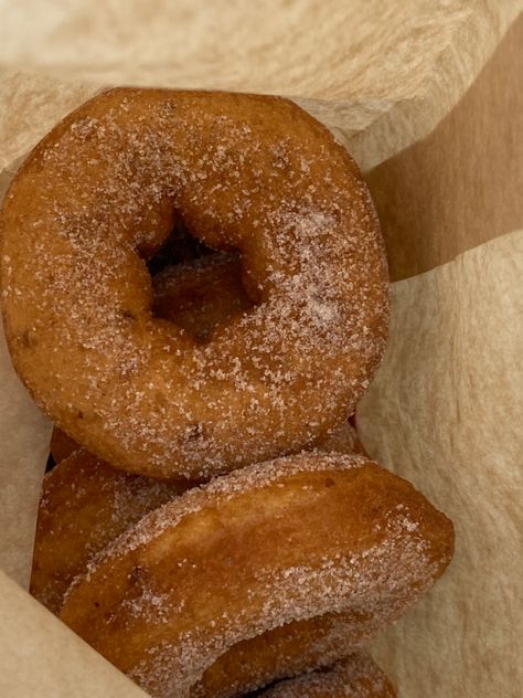 Apple Cider Donuts Aesthetic, Donuts Aesthetic, Apple Cider Donuts, Hudson Valley, Instagram Aesthetic, Apple Cider, Cider, Donuts, Bread