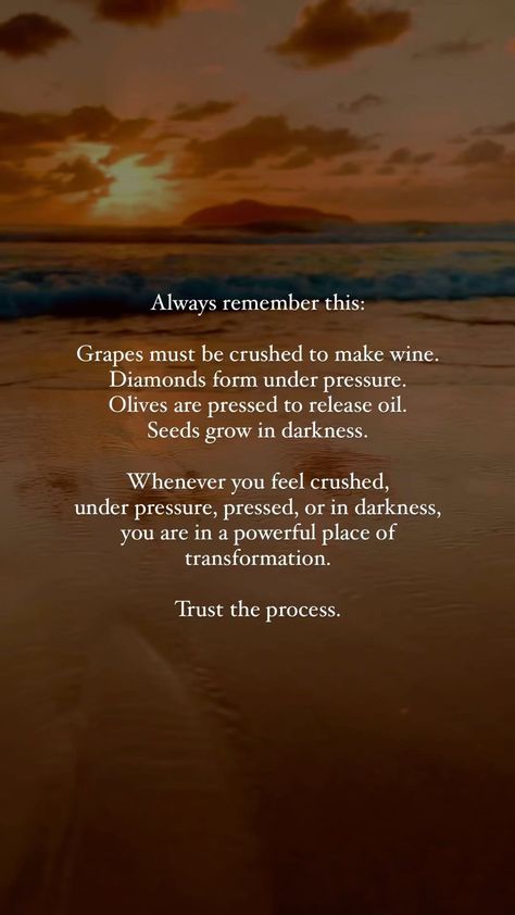 ✨Trust the process✨ Always remember this: Grapes must be crushed to make wine. Diamonds form under pressure. Olives are pressed to release… | Instagram Grapes Must Be Crushed To Make Wine, Feeling Crushed Quotes, Trust In The Process Quote, Pressure Makes Diamonds Quotes, Grape Quotes, Process Quotes, Trust The Process Quotes, Pressure Makes Diamonds, Pressure Quotes