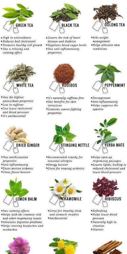 Natural Herbs Medicine, Herbs For Energy Boost, Diuretic Herbs, Herbs For Energy, Medicinal Herbs Remedies, Tea Blends Recipes, Benefits Of Tea, Herbal Remedies Recipes, Medicinal Herbs Garden