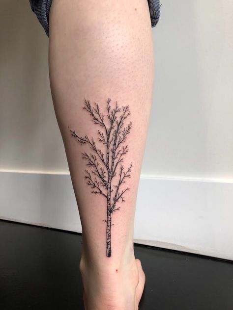 Barren Tree Tattoo, White Birch Tree Tattoo, Tree Tattoo Ideas Female, Hickory Tree Tattoo, Long Tree Tattoo, Silver Birch Tattoo, Ankle Tree Tattoo, Birch Tree Tattoo For Women, Tree Calf Tattoo