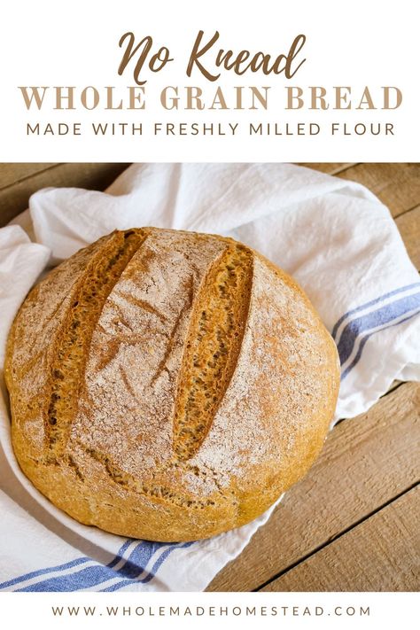 Bread Recipes Whole Wheat Flour, Freshly Milled Bread Recipe, Milled Grain Recipes, Freshly Milled Flour Bread, Fresh Milled Bread Recipe, Freshly Milled Wheat Recipes, Fresh Milled Flour Bread Recipe, Freshly Milled Flour Recipes, Milled Flour Recipes