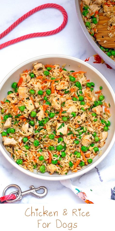 Chicken and Rice for Dogs Chicken And Rice For Dogs, Chicken And Rice Crockpot, Dog Food Recipes Crockpot, Chicken Flavored Rice, Chicken Dog Food Recipes, White Rice Recipes, Easy Dog Treat Recipes, Make Dog Food, Riced Veggies