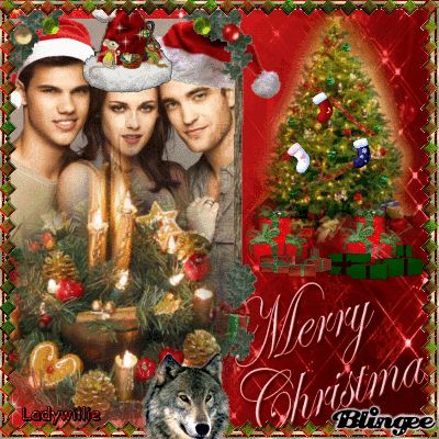 Twilight Saga - Merry Christmas Fr. Us To You!!! Twilight Christmas, Silly Happy Birthday, Merry Christmas Funny, Twilight Memes, Christmas Memes, Twilight Film, Married Christmas, Merry Christmas Wishes, Funny Profile Pictures